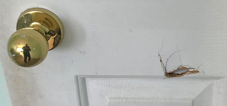 interior door hole repair Cutler